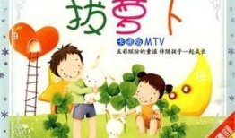 拔萝卜视频大全,拔萝卜视频大全欢乐集锦